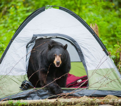 Camping Safety Precautions and Safety Tips