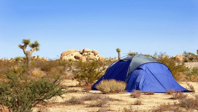 Basic Camping Tips According to Environment