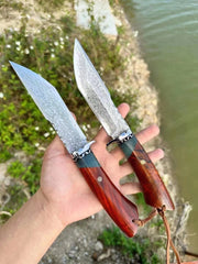 Centurion Cocobolo VG10 Damascus Steel Fixed Blade Knife